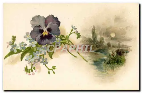 Cartes postales Fantaisie Fleurs