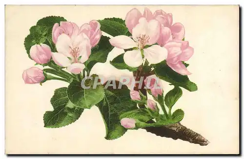 Cartes postales Fantaisie Fleurs