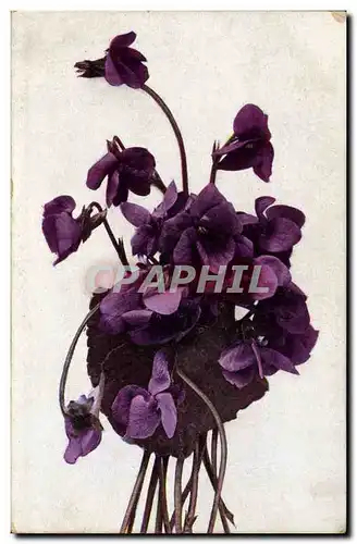 Cartes postales Fantaisie Fleurs