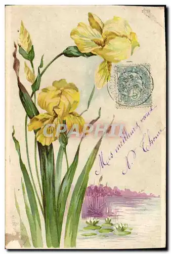 Cartes postales Fantaisie Fleurs