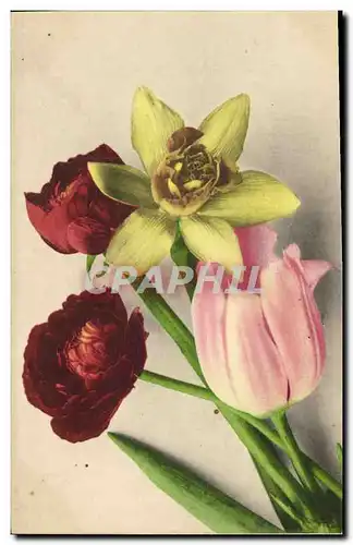 Cartes postales Fantaisie Fleurs