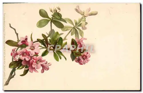 Cartes postales Fantaisie Fleurs