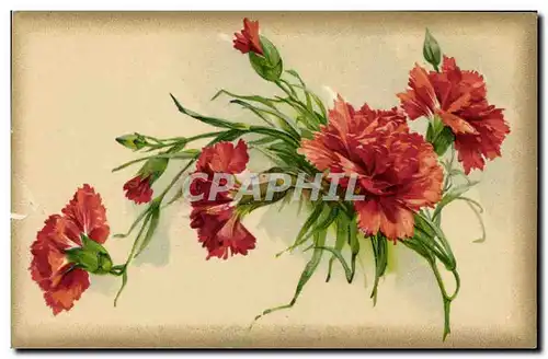 Cartes postales Fantaisie Fleurs