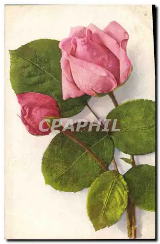 Cartes postales Fantaisie Fleurs