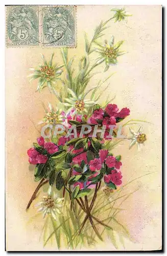 Cartes postales Fantaisie Fleurs