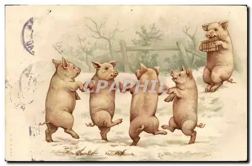 Cartes postales Cochon Porc