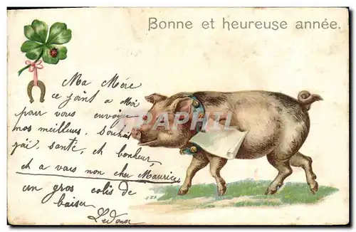 Cartes postales Cochon Porc