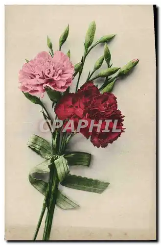 Cartes postales Fantaisie Fleurs