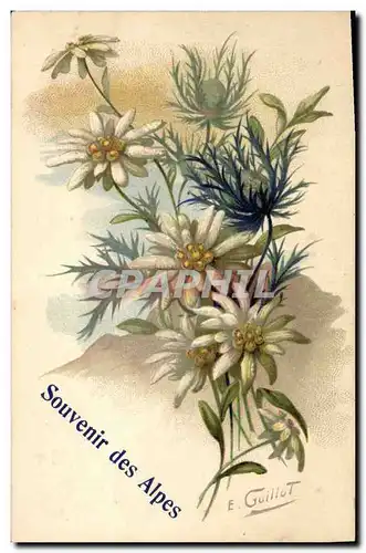 Cartes postales Fantaisie Fleurs