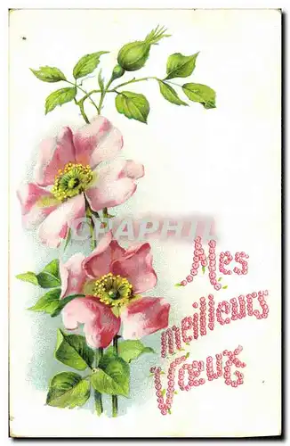 Cartes postales Fantaisie Fleurs