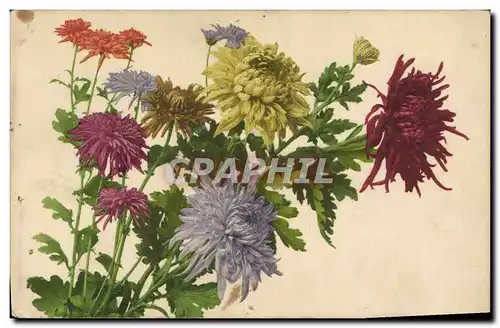 Cartes postales Fantaisie Fleurs