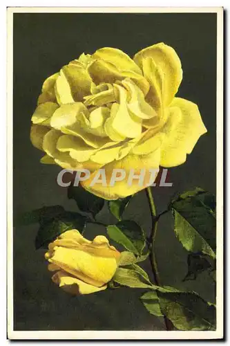 Cartes postales Fantaisie Fleurs Ville de Paris