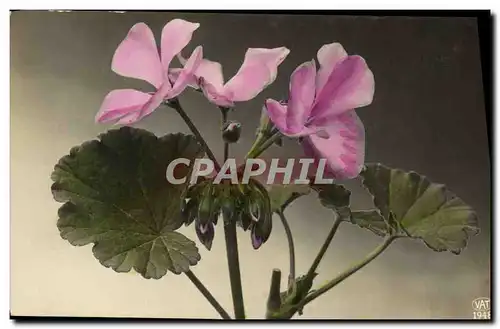 Cartes postales Fantaisie Fleurs