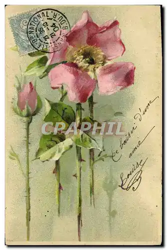 Cartes postales Fantaisie Fleurs