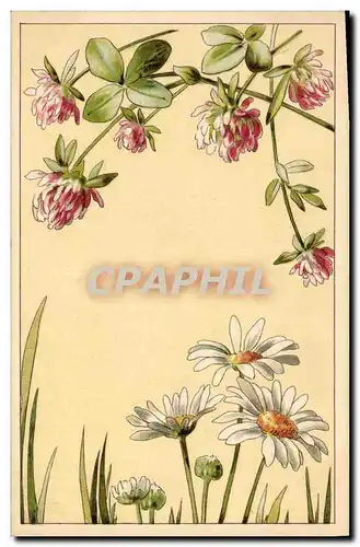 Cartes postales Fantaisie Fleurs