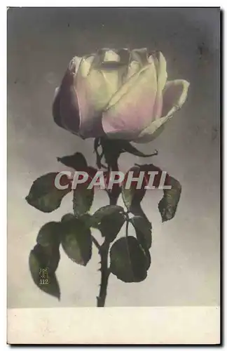 Cartes postales Fantaisie Fleurs