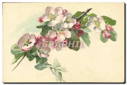 Cartes postales Fantaisie Fleurs