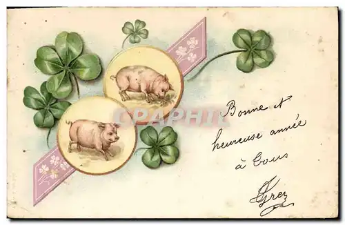 Cartes postales Cochon Porc Trefles