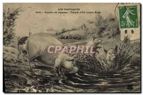 Cartes postales Cochon Porc Souvenir de vacances Plaisirs d&#39ete Joyeux Ebats