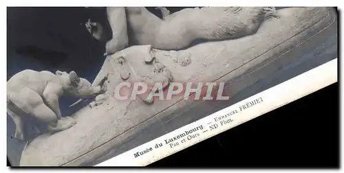 Cartes postales Paris Musee du Luxembourg Emmanuel Fremiet Pan et ours