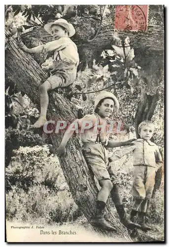 Cartes postales Enfants Dans les branches