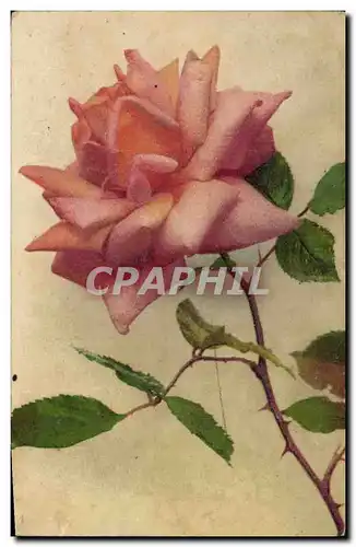 Cartes postales Fantaisie Fleurs