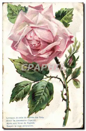 Cartes postales Fantaisie Fleurs