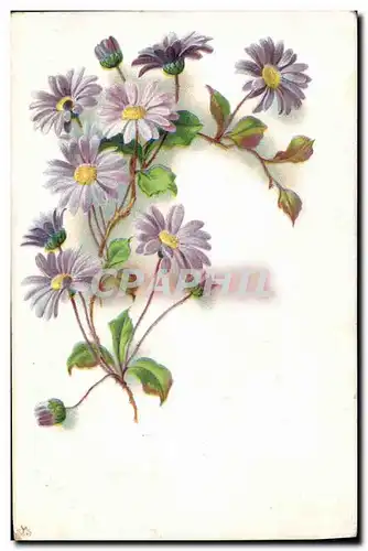 Cartes postales Fantaisie Fleurs