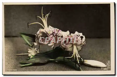 Cartes postales Fantaisie Fleurs