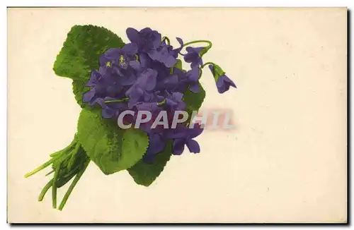 Cartes postales Fantaisie Fleurs