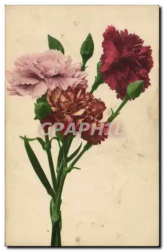 Cartes postales Fantaisie Fleurs