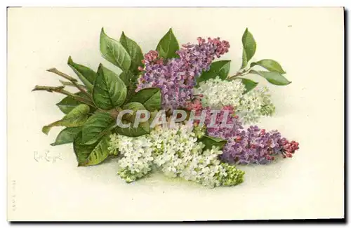 Cartes postales Fantaisie Fleurs