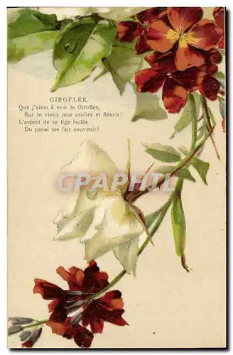 Cartes postales Fantaisie Fleurs