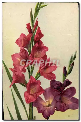 Cartes postales Fantaisie Fleurs