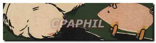 Ansichtskarte AK Cochon Porc Cochon d'inde