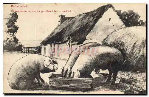 Cartes postales Cochon Porc En ballade