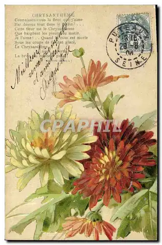 Cartes postales Fantaisie Fleurs Chrysantheme