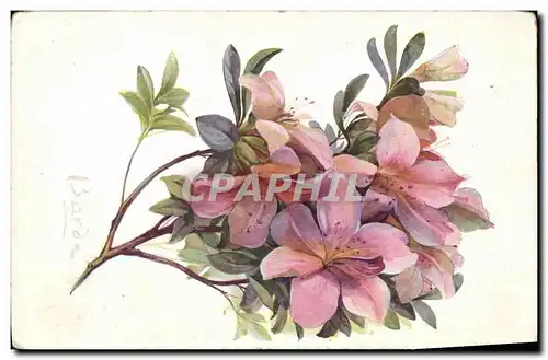 Cartes postales Fantaisie Fleurs