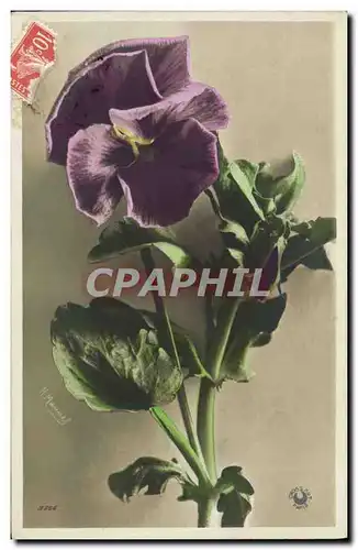 Cartes postales Fantaisie Fleurs