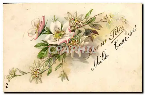 Cartes postales Fantaisie Fleurs