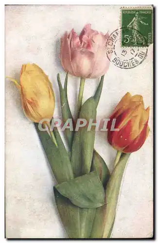 Cartes postales Fantaisie Fleurs