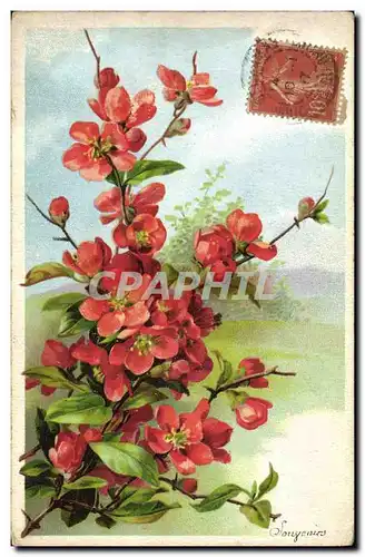 Cartes postales Fantaisie Fleurs