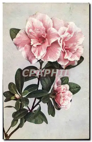 Cartes postales Fantaisie Fleurs