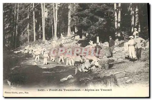 Cartes postales Militaria Chasseurs Alpins Foret de Tournairet Alpins au travail