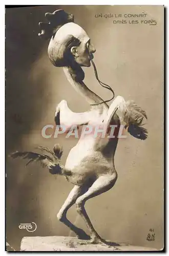 Cartes postales Un qui connait dans les foins