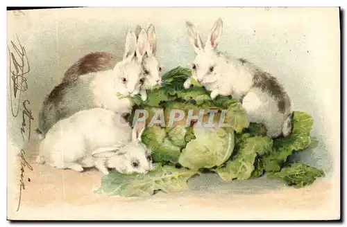 Cartes postales Lapin Lapins