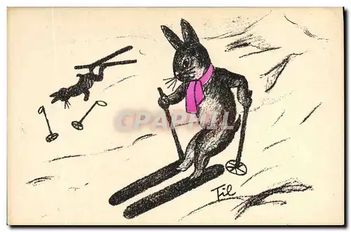 Cartes postales Lapin Lapins Ski