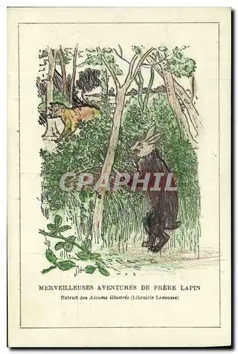 Cartes postales Lapin Lapins Merveilleuses aventures de frere lapin