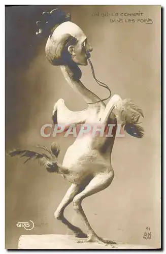 Cartes postales Un qui la connait dans les foins