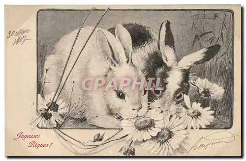 Cartes postales Lapin Lapins